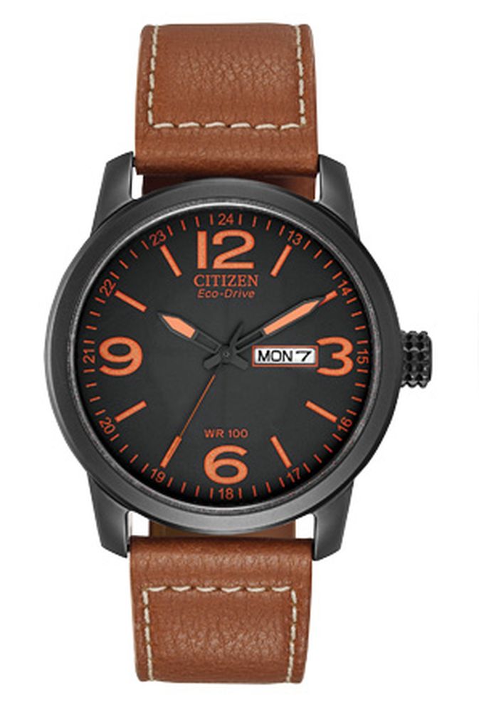 Citizen Eco-Drive Strap 42mm