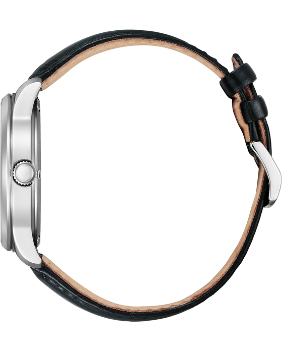 Citizen Eco-Drive Men's Strap Watch