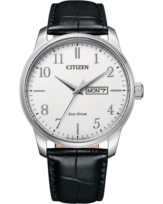 Citizen Eco-Drive Men's Strap Watch