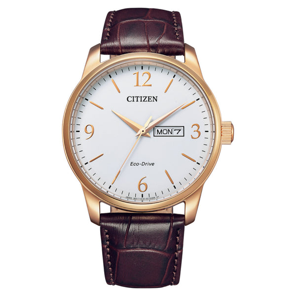 Citizen Eco-Drive Men's Strap Rose Watch