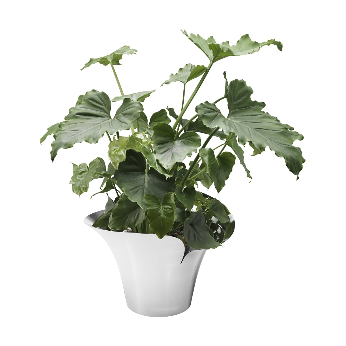 Georg Jensen Bloom Botanica Flower Pot, Large