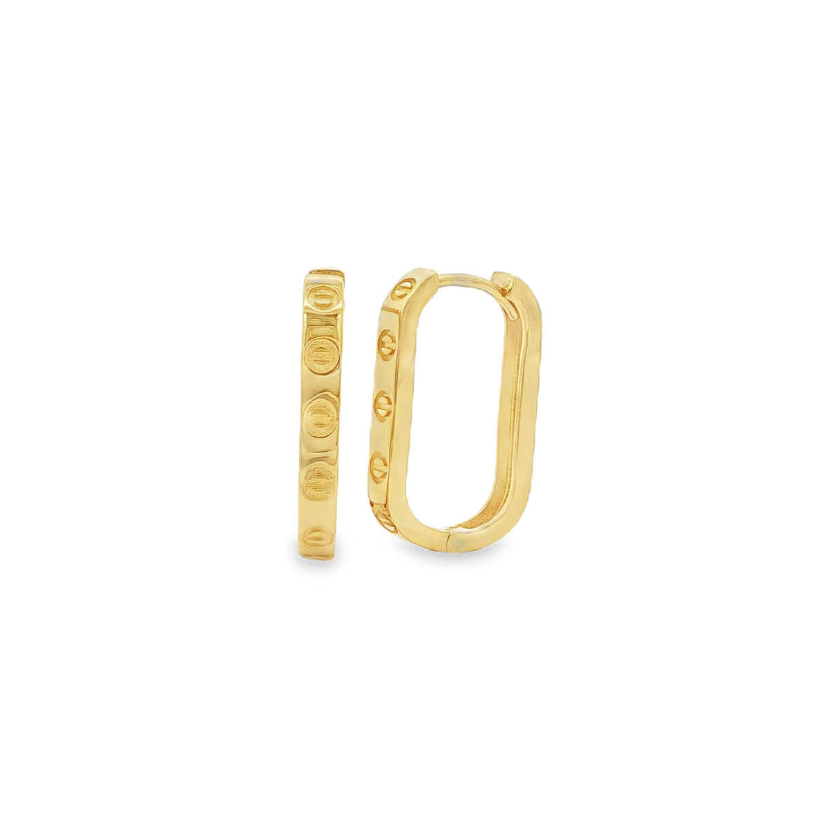 Screw Paperlink 19x12mm Hoop, 9ct Yellow Gold Earrings