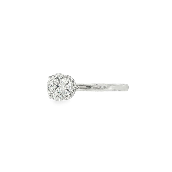Round Brilliant Cut 1.00ct Lab Grown Diamond, Hidden Halo Platinum Ring