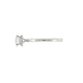 Round Brilliant Cut 1.00ct Lab Grown Diamond, Hidden Halo Platinum Ring