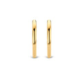 TI SENTO - Milano Earrings 7782SY