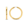 TI SENTO - Milano Earrings 7782SY