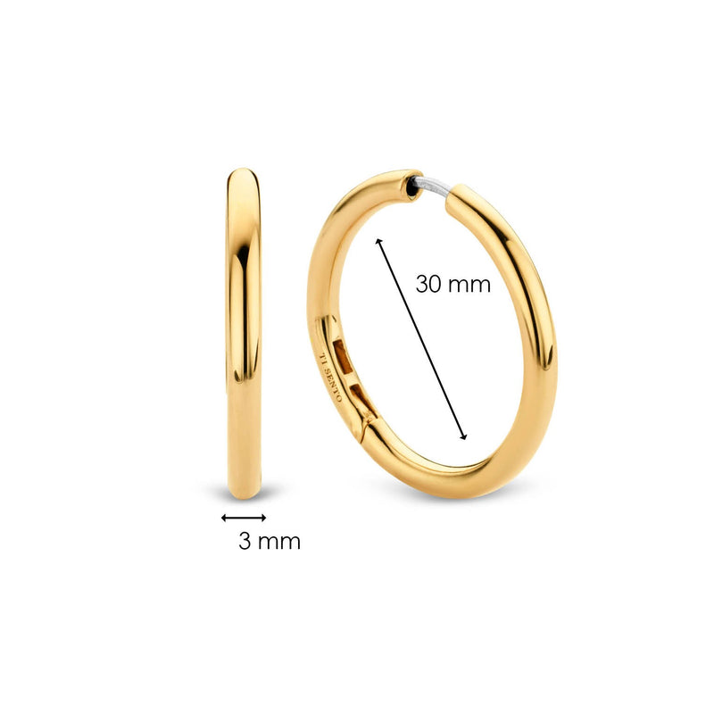 TI SENTO - Milano Earrings 7782SY