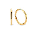 TI SENTO - Milano Earrings 7782SY