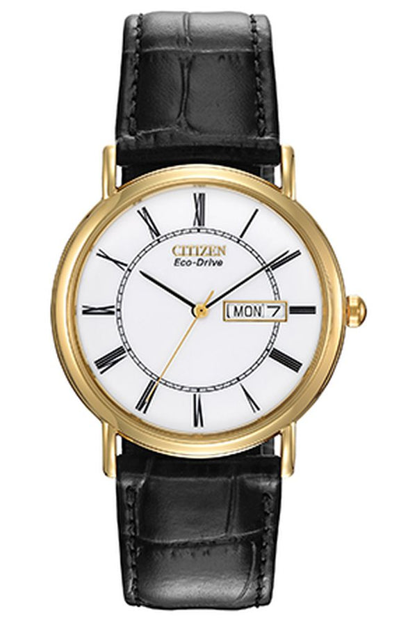 Citizen Eco-Drive Strap 36mm