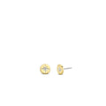 TI SENTO - Milano Earrings 7822ZY