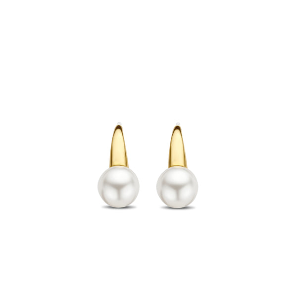 TI SENTO - Milano Earrings 7849PW