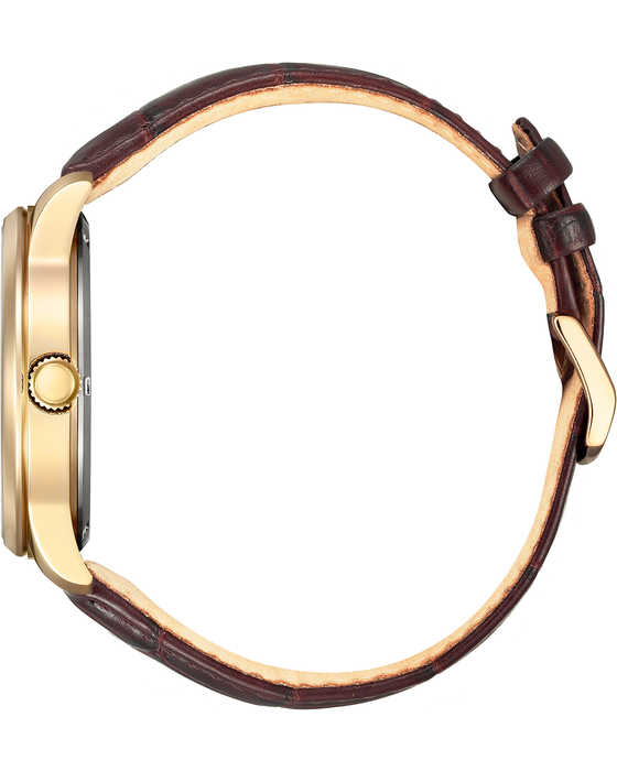 Citizen Eco-Drive Men's Strap Rose Watch