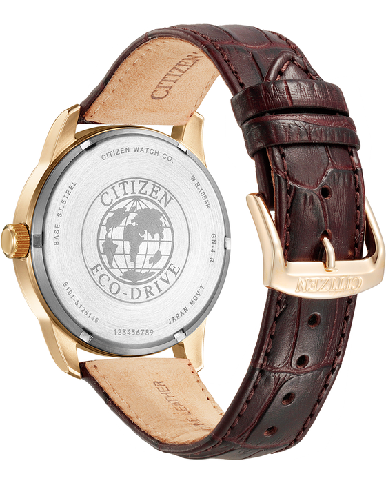 Citizen Eco-Drive Men's Strap Rose Watch