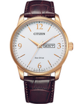 Citizen Eco-Drive Men's Strap Rose Watch