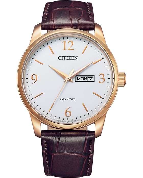 Citizen Eco-Drive Men's Strap Rose Watch