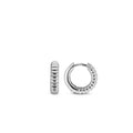 TI SENTO - Milano Earrings 7839SI