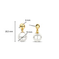 TI SENTO - Milano Earrings 7913YP