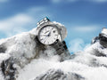 Grand Seiko Heritage 'Snowflake' Quartz Titanium 37mm Watch SBGX355G